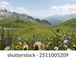 Scenic Idyllic mountain landscape panorama view of cow herd grazing on green grass wild meadow at European high Alps mountains pasture valley. Nature alpine grassland countryside Austria Tyrol scene