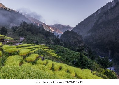 Scenic image of mountains during sunset. Amazing nature scenery of Nepal Himalayas. Manaslu Trail popular travel destination. travel, adventure, concept image. Stunning natural background.