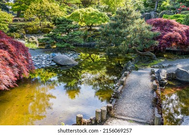 A Scenic Japanese Garden In Seatac, Washington.