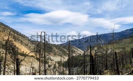 A scenic journey through BC's dramatic transition - from rushing glacial waters of Kicking Horse Canyon to the dry, rugged landscapes of the Thompson river near Kamloops where rail, river, and highway wind together through vast canyon terrain.