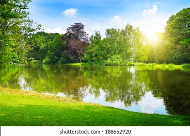 Scenic Lake In The Summer Park