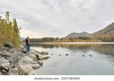 Scenic lake view with man standing on rocky shore and ducks swimming under cloudy sky in autumn. - Powered by Shutterstock