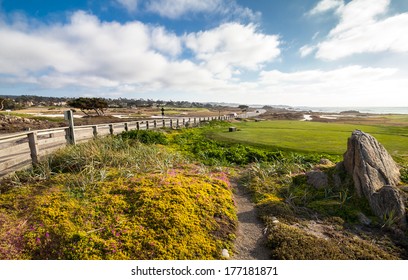  Scenic Landscape Of 17 Mile Drive