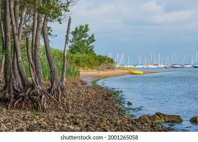 A Scenic Landscape Along The Henry Hudson Trail In Atlantic Highlands New Jersey.