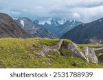 Scenic landscape with alpine flowers on sunlit beautiful grassy rock against few big snowy pointy peaks far away. Vivid green grass rocky hill with view to three large snow peaked tops in cloudy sky.