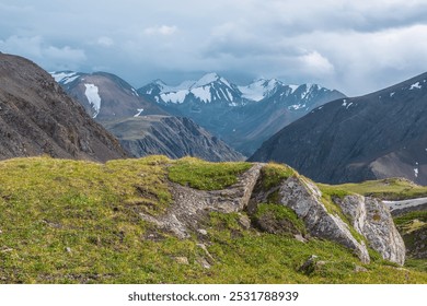 Scenic landscape with alpine flowers on sunlit beautiful grassy rock against few big snowy pointy peaks far away. Vivid green grass rocky hill with view to three large snow peaked tops in cloudy sky. - Powered by Shutterstock