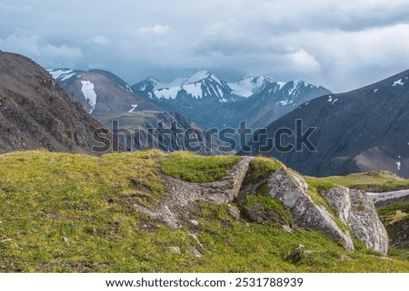 Similar – Image, Stock Photo Mountain top covered with fog in the Alps