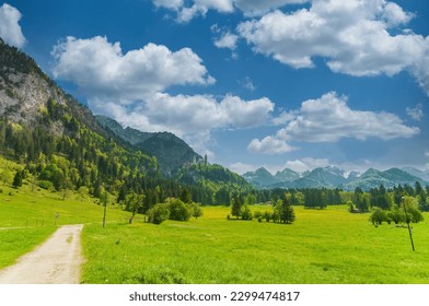 Scenic landscape in Bavaria, Germany. Green pasture with famous Neuschwanstein castle on the background