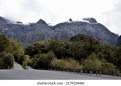 Scenic landscape at entrance of The Chasm Walk in Fiordland National Park.