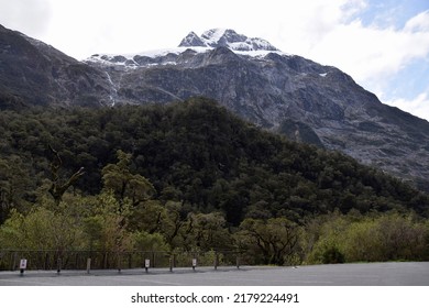 Scenic landscape at entrance of The Chasm Walk in Fiordland National Park.