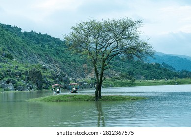 A scenic landscape featuring a single tree standing on a small island in a lake, surrounded by hills and small boats under a cloudy sky.