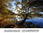 Scenic landscape of Kensington metro park in Michigan during autumn time with back lit trees.