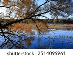 Scenic landscape of Kensington metro park in Michigan during autumn time with back lit trees.