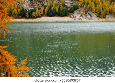 Scenic landscape with mountain panorama and Maloja Lake at Swiss mountain village of Maloja on a cloudy autumn day. Photo taken October 14th, 2024, Maloja, Switzerland. - Powered by Shutterstock