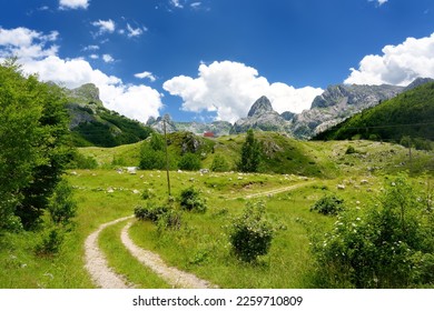 Scenic landscape of mountain valley in european Alps.Road goes into the distance.Stunning view of mountains and valleys in sunset. Hiking and tracking concept. Hike passing Bukumirsko Lake, Montenegro