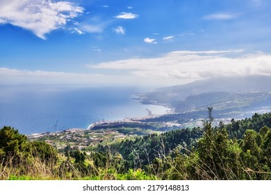 Scenic landscape of the mountains, a pine forest and the ocean with blue sky copy space in the remote area of La Palma, Canary Islands, Spain. View of lush mother nature and wild flora from above