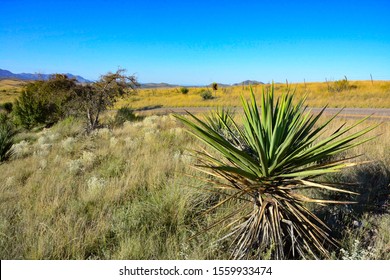 Scenic landscape open country - West Texas - Marfa, Texas