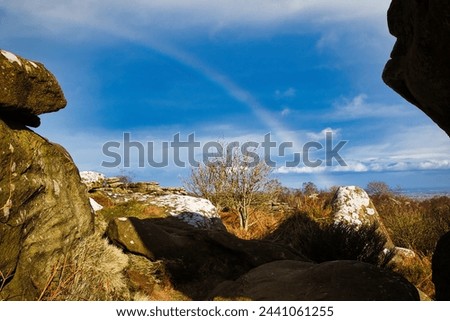 Scenic landscape with a rainbow over a solitary tree, framed by rocky outcrops under a blue sky with clouds at Brimham Rocks, in North Yorkshire