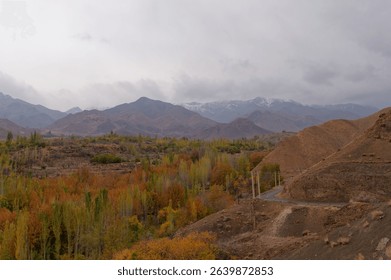 A scenic landscape showcasing a vibrant array of autumn trees in the foreground, with a majestic mountain range in the background, Iran.