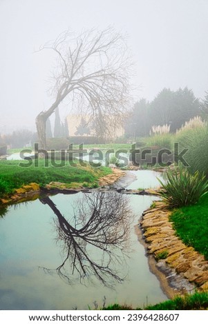 Scenic landscape with trees reflected in a lake on a foggy winter morning, in Arroyomolinos, Madrid (Spain)