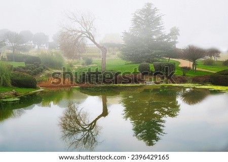 Scenic landscape with trees reflected in a lake on a foggy winter morning, in Arroyomolinos, Madrid (Spain)
