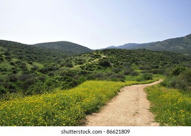 Scenic Landscape In Upper Galilee, Israel.