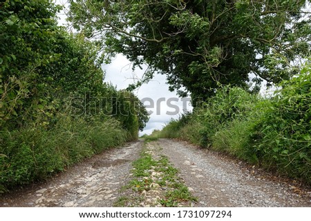 A Scenic Landscape View of a Beautiful Country Road through Farmland Framed by Lush Green Leafy Foliage
