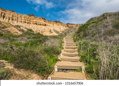 Scenic Landscape View And Hiking Trail At Torrey Pines State Reserve In San Diego, California, USA