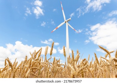 Scenic Landscape View Of Wheat Field Harvest And Big Modern Wind Turbine Mill Farm Against Beautiful Clouds Blue Sky. Food Production And Clean Green Renewable Sustainable Energy Generation Concept.