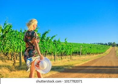 Scenic Landscape Of Vineyard Cellar Harvest.Beautiful Tourist Woman Walks Down A Country Road Alongside A Row Of White Grapes. Wilyabrup In Margaret River Known As The Wine Region In Western Australia