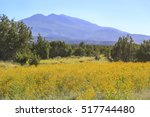 Scenic Lockett Meadow and Arizona Snowbowl Mountain in Flagstaff, Arizona USA