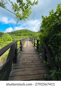 A scenic, low-angle perspective shot of a rustic wooden pedestrian bridge crossing over a pond or wetland area. The bridge leads toward a lush, forested green hill under a dynamic blue sky with bright white clouds, framed by vibrant green overhanging tree leaves and bushes on a beautiful summer day.