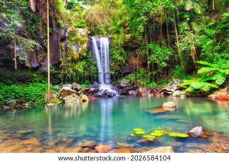 Scenic Mamborine waterfall in evergreen lush rainforest of Quensland Gold Coast, Australia.