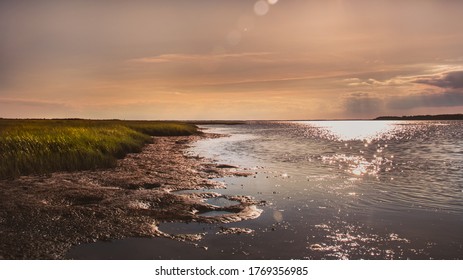 Scenic Marsh Grass Glows Out Of Mud Flats Near The Chesapeake Bay In Chincoteague Island Virginia 