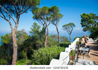 Scenic Mediterranean Landscape View From A Cliffside Terrace Set Amongst Umbrella Pine Trees In Capri, Italy