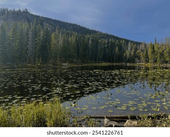 Scenic Mountain Lake with Lily Pads and Forested Shoreline - Powered by Shutterstock