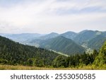 Scenic mountain landscape featuring dense green forests, rolling hills, village on the valley and a clear sky. Capturing the essence of tranquility and natural beauty. Carpathian Mountains, Ukraine