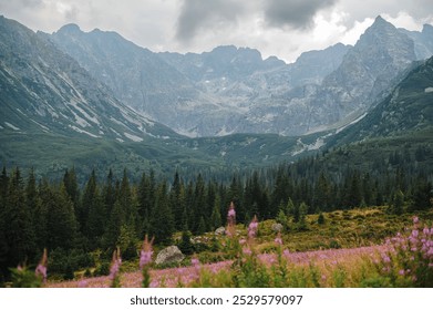 A scenic mountain landscape with a field of pink wildflowers in the foreground, dense pine forests, and rugged mountains under a cloudy sky. - Powered by Shutterstock