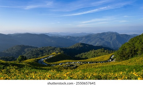 A scenic mountain road surrounded by golden wildflowers and lush green valleys under a blue sky.

A lush green mountain landscape featuring vibrant yellow wildflowers under a clear blue sky.

 - Powered by Shutterstock