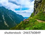 Scenic Mountain Trail in High Tatras Poland with Vibrant Wildflowers