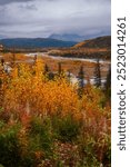 Scenic Nenana River landscape  in Alaska near Denali National park.