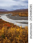 Scenic Nenana River landscape  in Alaska near Denali National park.