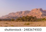 The scenic orange rocks of Ein Gedi national park (part of Judean desert), palm trees and dry bushes on the border between Israel and Palestine during the colorful sunset.
