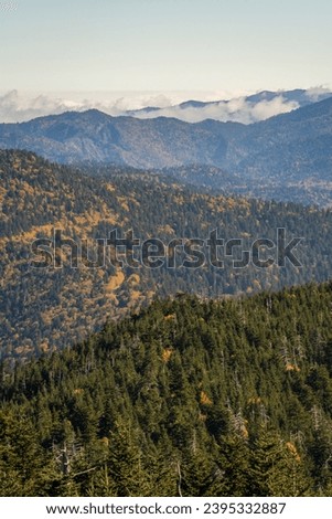 Scenic Overlook at the Great Smoky Mountains National Park in North Carolina