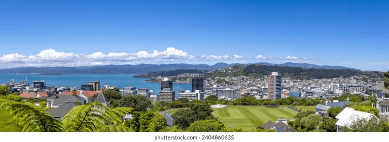 Scenic Panoramic skyline of Wellington downtown harbor and financial center in New Zealand.