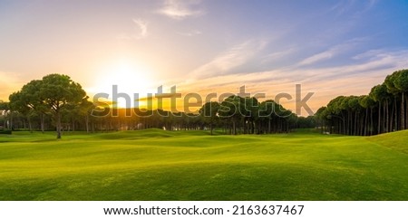 Scenic panoramic view of Golf course at sunset with beautiful sky. Golf fairway with pines