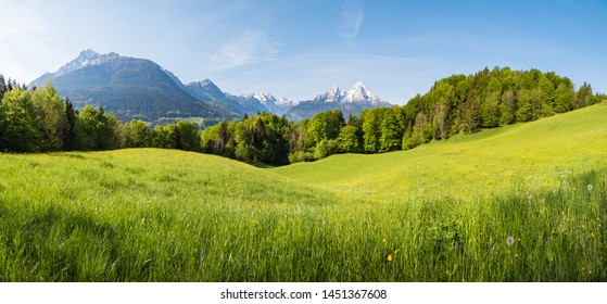 Panoramablick auf idyllische Hügellandschaft mit blühenden Wiesen und schneebedeckten Berggipfeln im Hintergrund auf einem schönen Sonnentag mit blauem Himmel und Wolken im Frühling
