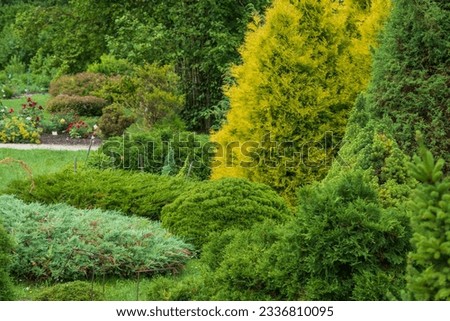 A scenic park of ornamental trees and shrubs. Diversity of different conifers. A beautiful place for a leisurely vacation.