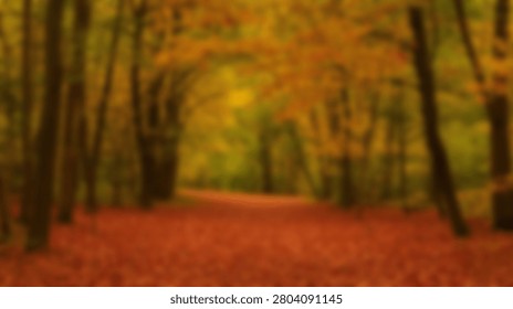 A scenic pathway through a forest during autumn, with vibrant fall foliage and a carpet of red leaves on the ground.