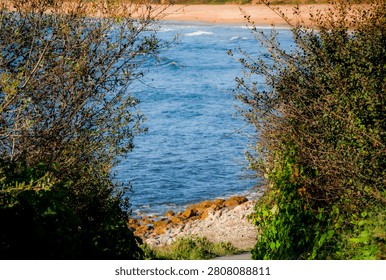 A scenic pathway winds through dense green foliage towards the inviting waters of RAT Beach, offering a glimpse of the ocean and shoreline